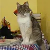 Отзыв от Лада Шапошникова